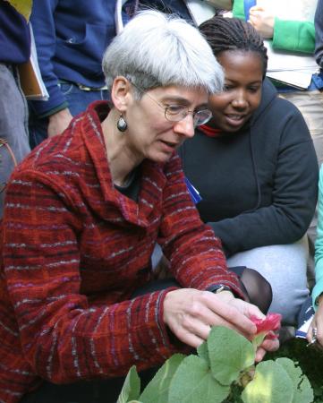 Welcome to the Academy - Brown evolutionary ecologist Annie Schmitt has been elected to the National Academy of Sciences, one of the highest honors bestowed on a scientist.